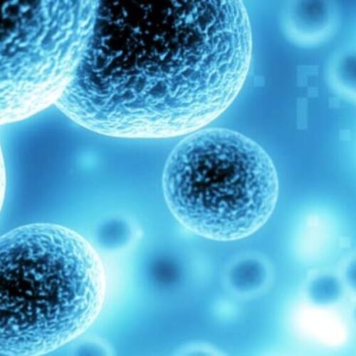 science of ozone SCIENCE Of OZONE THERAPY